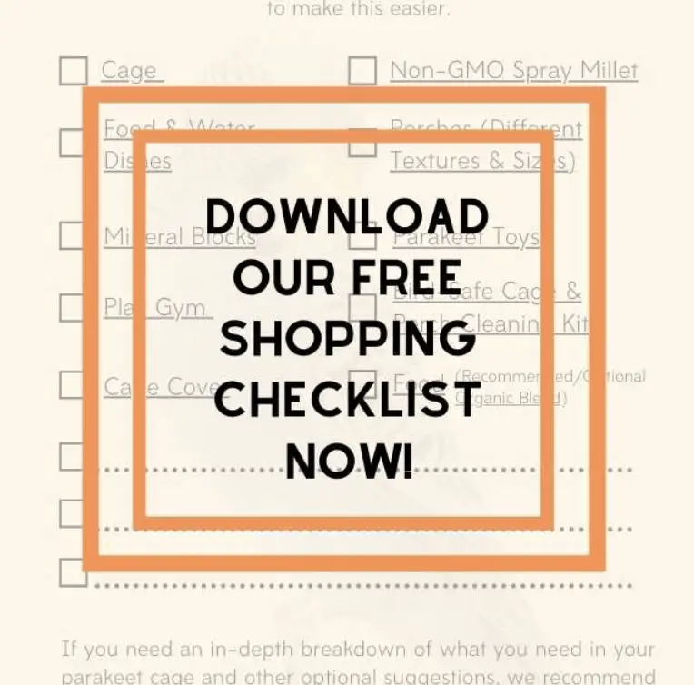 Download Our Free Shopping Checklist Now!