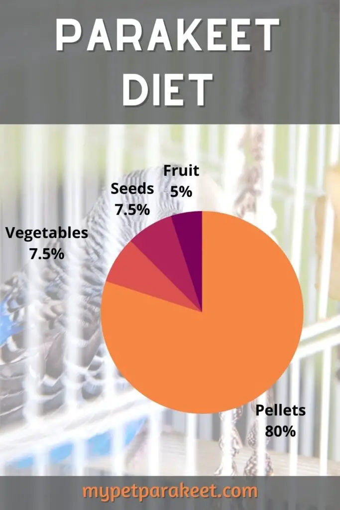 my_pet_parakeets_diet_pie_chart