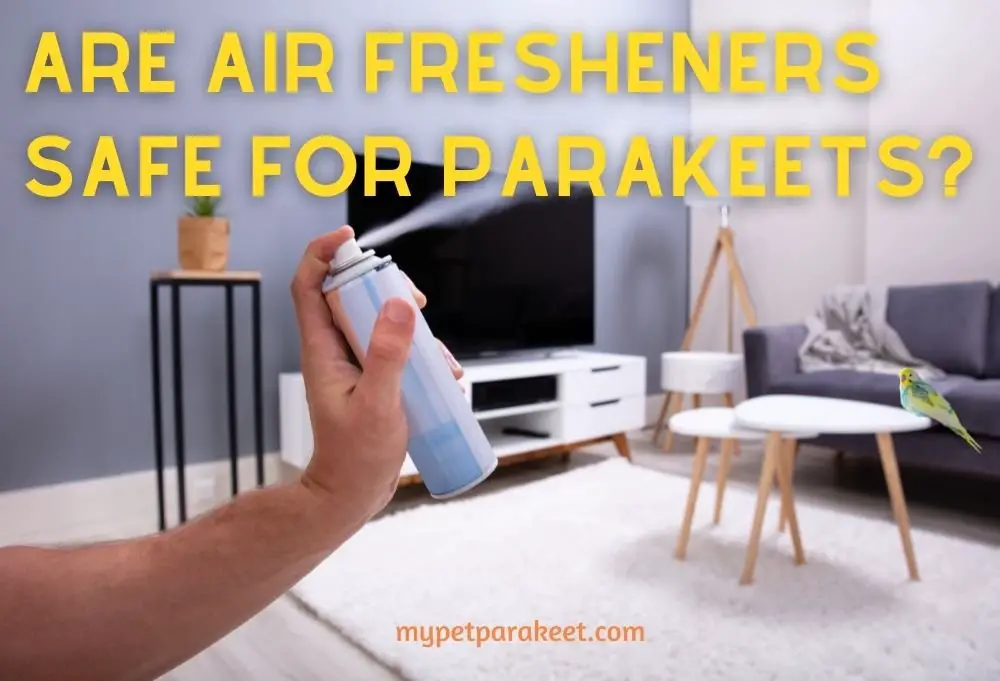 Are Air Fresheners Safe For Parakeets?