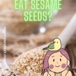Can Parakeets Eat Sesame Seeds?