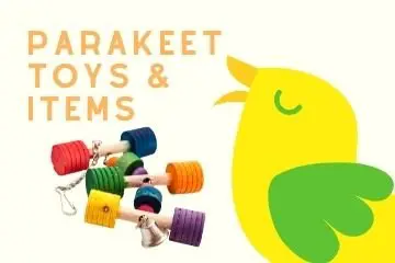 Shop For Parakeet Toys