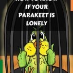 Do Parakeets Get Lonely?
