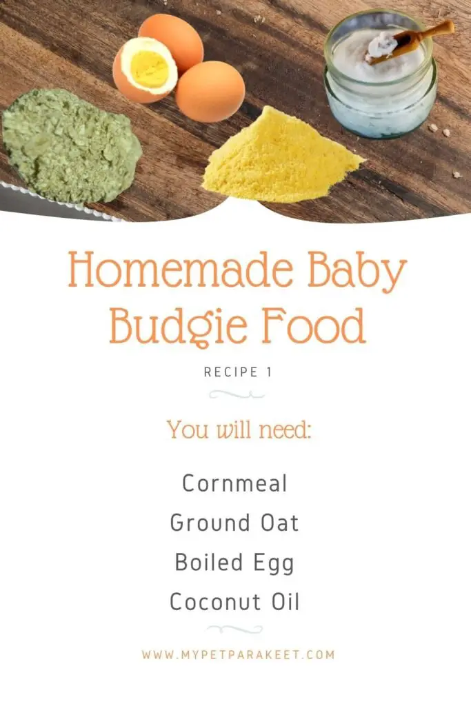 Homemade Baby Parakeet Food Recipes